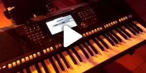 Geriausių muzikantų paslaugos renginiams vestuvėms Alytuje su gera nuotaika