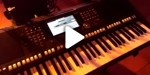 Geriausių muzikantų paslaugos renginiams vestuvėms Alytuje su gera nuotaika